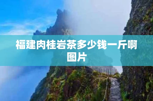 福建肉桂岩茶多少钱一斤啊图片