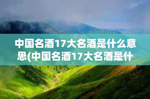 中国名酒17大名酒是什么意思(中国名酒17大名酒是什么意思呀)