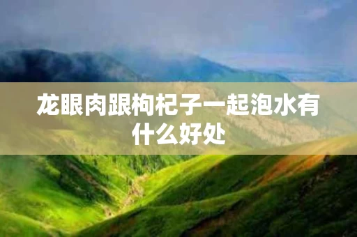 龙眼肉跟枸杞子一起泡水有什么好处