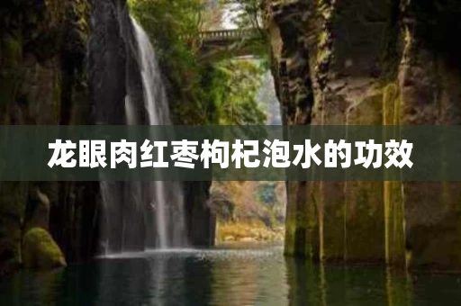 龙眼肉红枣枸杞泡水的功效