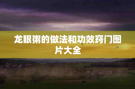 龙眼粥的做法和功效窍门图片大全