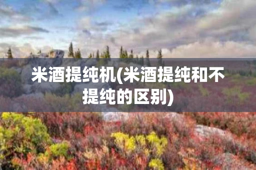 米酒提纯机(米酒提纯和不提纯的区别)