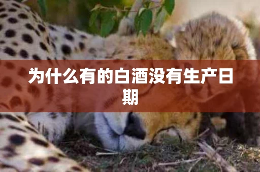 为什么有的白酒没有生产日期