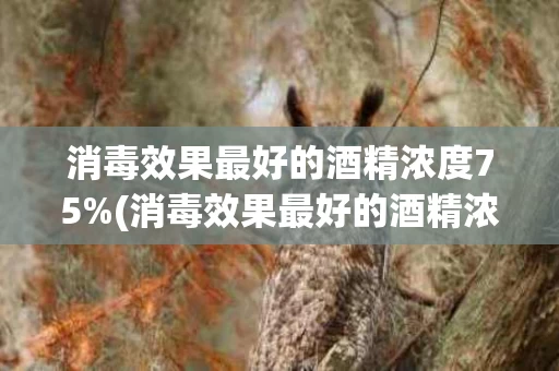消毒效果最好的酒精浓度75%(消毒效果最好的酒精浓度是75%)