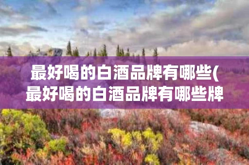 最好喝的白酒品牌有哪些(最好喝的白酒品牌有哪些牌子)