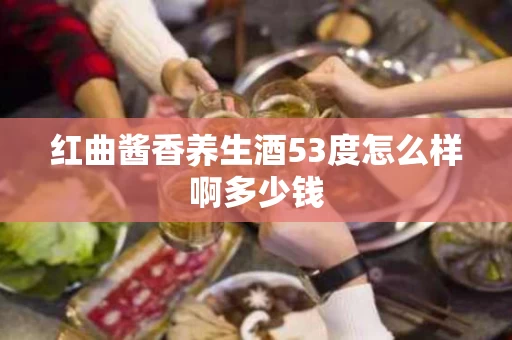 红曲酱香养生酒53度怎么样啊多少钱