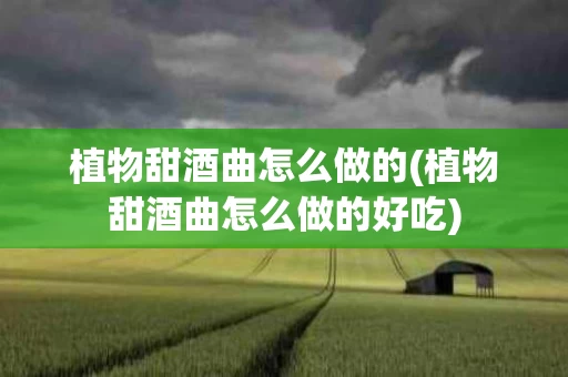 植物甜酒曲怎么做的(植物甜酒曲怎么做的好吃)