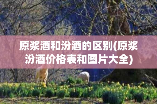 原浆酒和汾酒的区别(原浆汾酒价格表和图片大全)