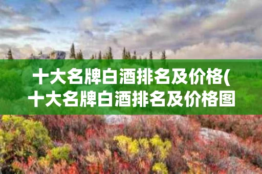 十大名牌白酒排名及价格(十大名牌白酒排名及价格图片)