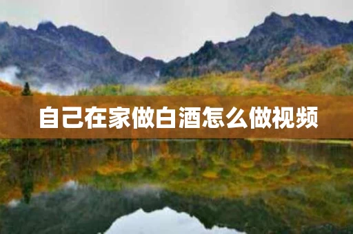 自己在家做白酒怎么做视频