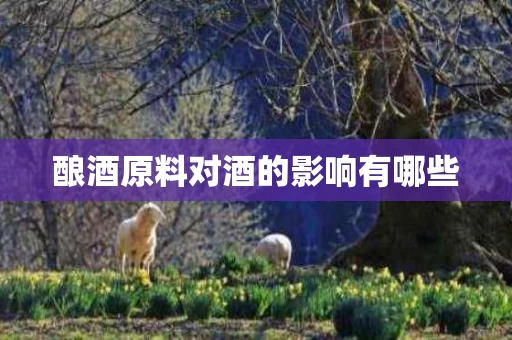 酿酒原料对酒的影响有哪些