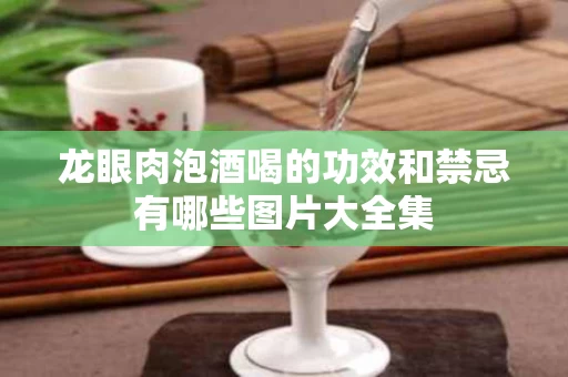 龙眼肉泡酒喝的功效和禁忌有哪些图片大全集