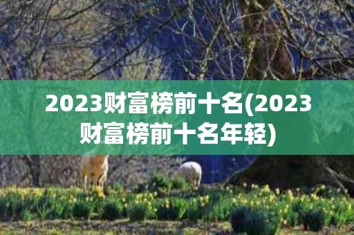 2023财富榜前十名(2023财富榜前十名年轻)