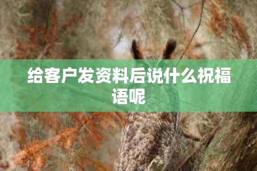 给客户发资料后说什么祝福语呢