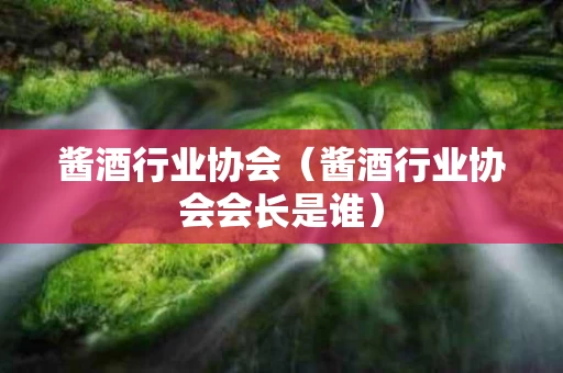酱酒行业协会（酱酒行业协会会长是谁）