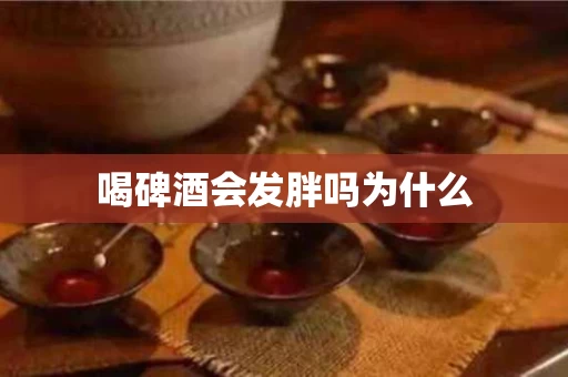 喝碑酒会发胖吗为什么