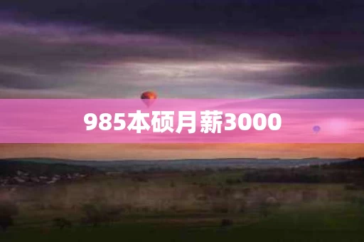 985本硕月薪3000