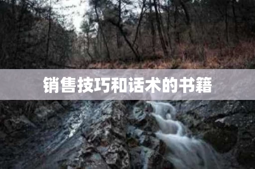 销售技巧和话术的书籍