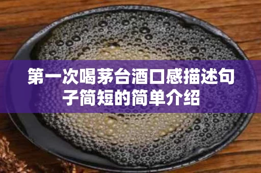 第一次喝茅台酒口感描述句子简短的简单介绍