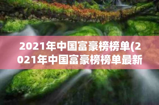 2021年中国富豪榜榜单(2021年中国富豪榜榜单最新)