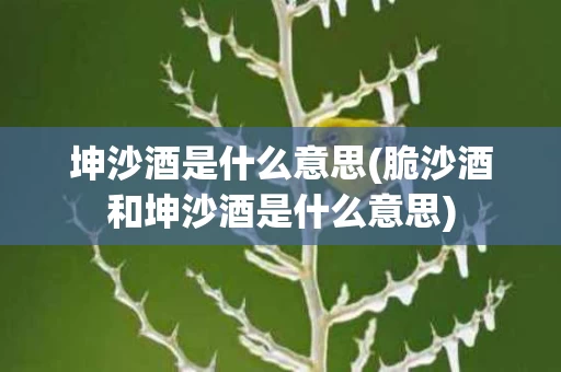 坤沙酒是什么意思(脆沙酒和坤沙酒是什么意思)