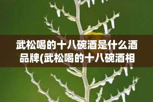 武松喝的十八碗酒是什么酒品牌(武松喝的十八碗酒相当于现在的多少)