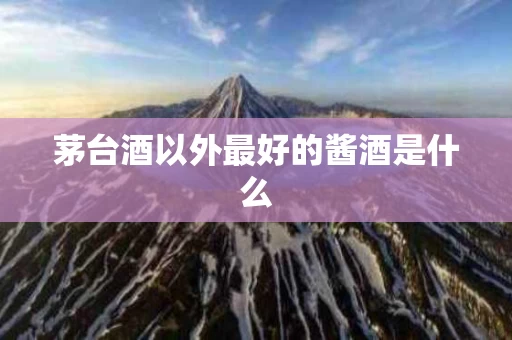 茅台酒以外最好的酱酒是什么