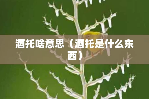 酒托啥意思（酒托是什么东西）
