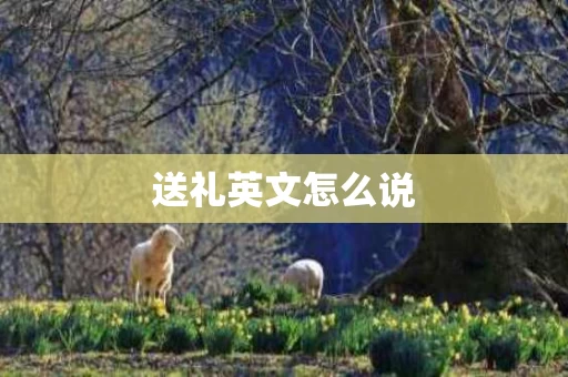 送礼英文怎么说