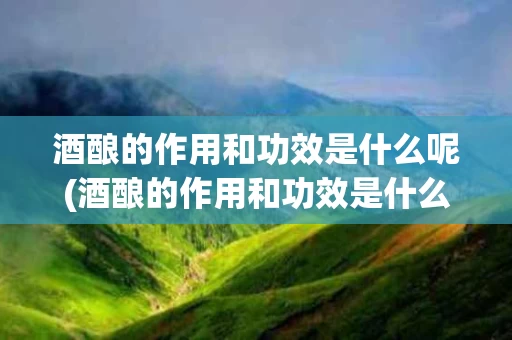 酒酿的作用和功效是什么呢(酒酿的作用和功效是什么呢图片)