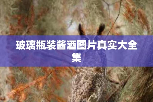 玻璃瓶装酱酒图片真实大全集