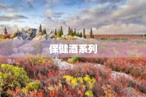 保健酒系列