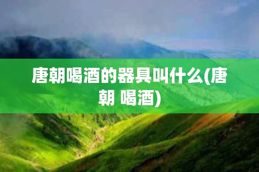 唐朝喝酒的器具叫什么(唐朝 喝酒)