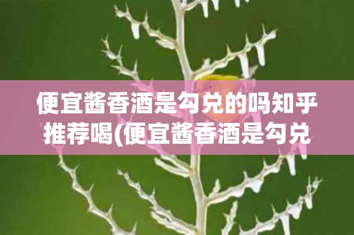 便宜酱香酒是勾兑的吗知乎推荐喝(便宜酱香酒是勾兑的吗知乎推荐喝吗)