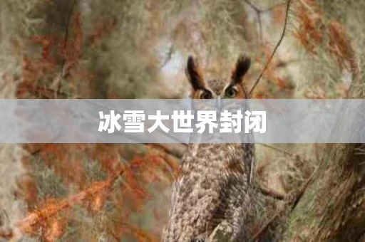 冰雪大世界封闭