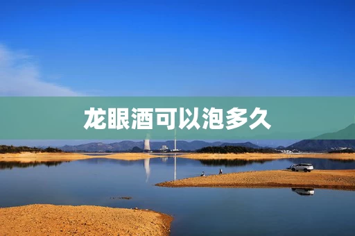 龙眼酒可以泡多久