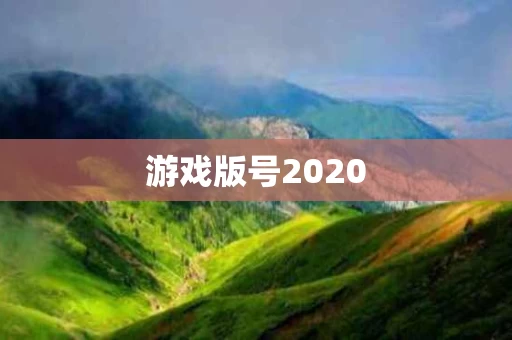 游戏版号2020