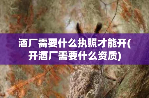 酒厂需要什么执照才能开(开酒厂需要什么资质)