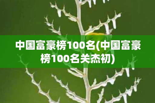 中国富豪榜100名(中国富豪榜100名关杰初)