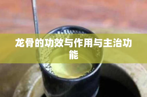 龙骨的功效与作用与主治功能