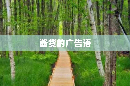 酱货的广告语