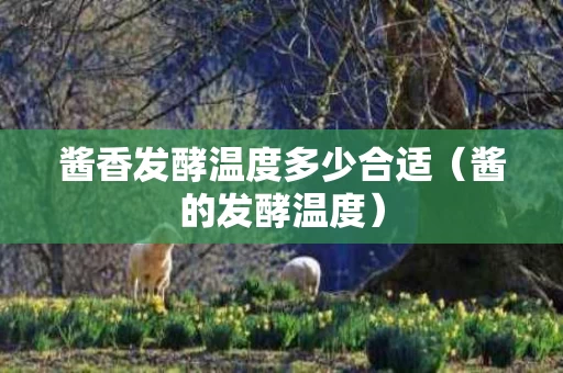 酱香发酵温度多少合适（酱的发酵温度）
