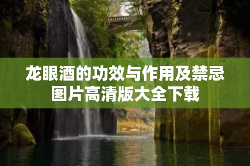 龙眼酒的功效与作用及禁忌图片高清版大全下载 龙眼酒的功效与作用及禁忌图片高清版大全下载
