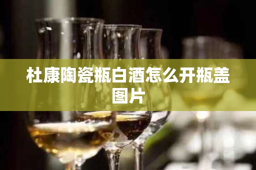 杜康陶瓷瓶白酒怎么开瓶盖图片