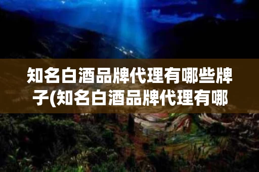 知名白酒品牌代理有哪些牌子(知名白酒品牌代理有哪些牌子的)