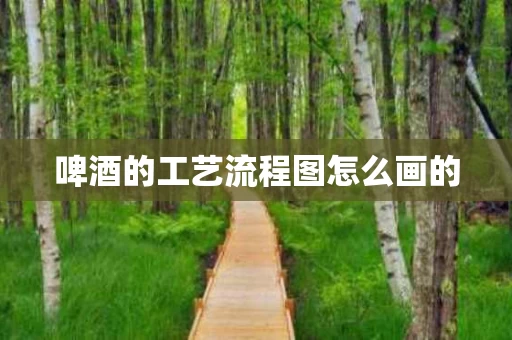 啤酒的工艺流程图怎么画的