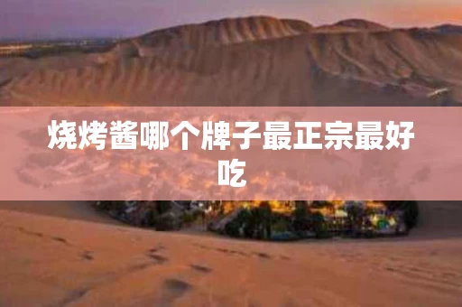 烧烤酱哪个牌子最正宗最好吃