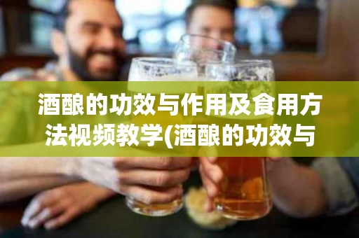 酒酿的功效与作用及食用方法视频教学(酒酿的功效与作用及食用方法视频教学大全)