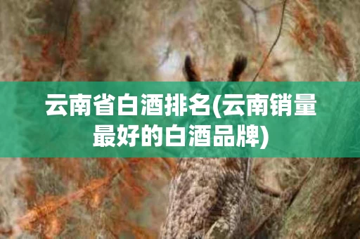 云南省白酒排名(云南销量最好的白酒品牌)