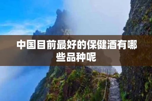 中国目前最好的保健酒有哪些品种呢